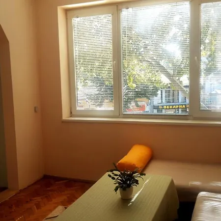 Lejlighed Central Apartment